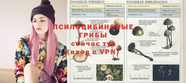 героин Арсеньев