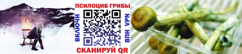 Галлюциногенные грибы GOLDEN TEACHER  Купить закладки  Струнино 